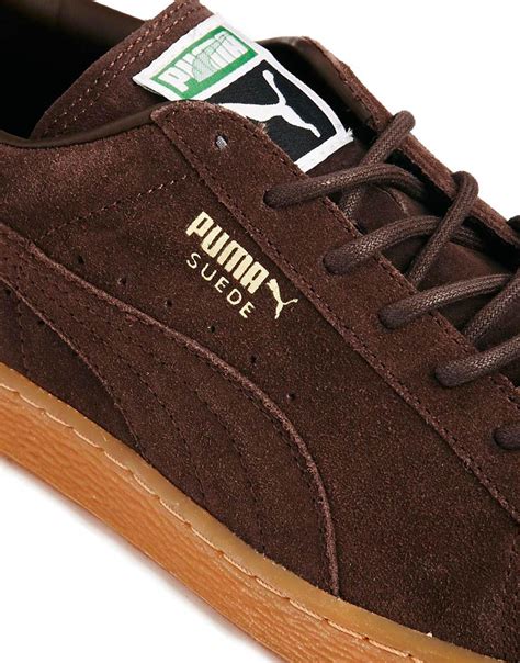 puma brown shoes